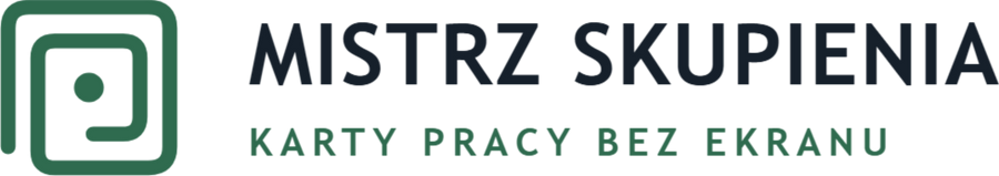 Mistrz Skupienia